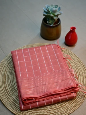 Light brown silk cotton saree with Pintex checks