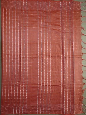 Pallu of light brown silk cotton saree with Pintex checks