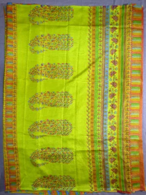 Pallu of lime green printed Kashmiri silk saree