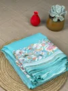 Sky blue organza with embroidery
