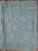 Pallu of light blue semi organza with pearls