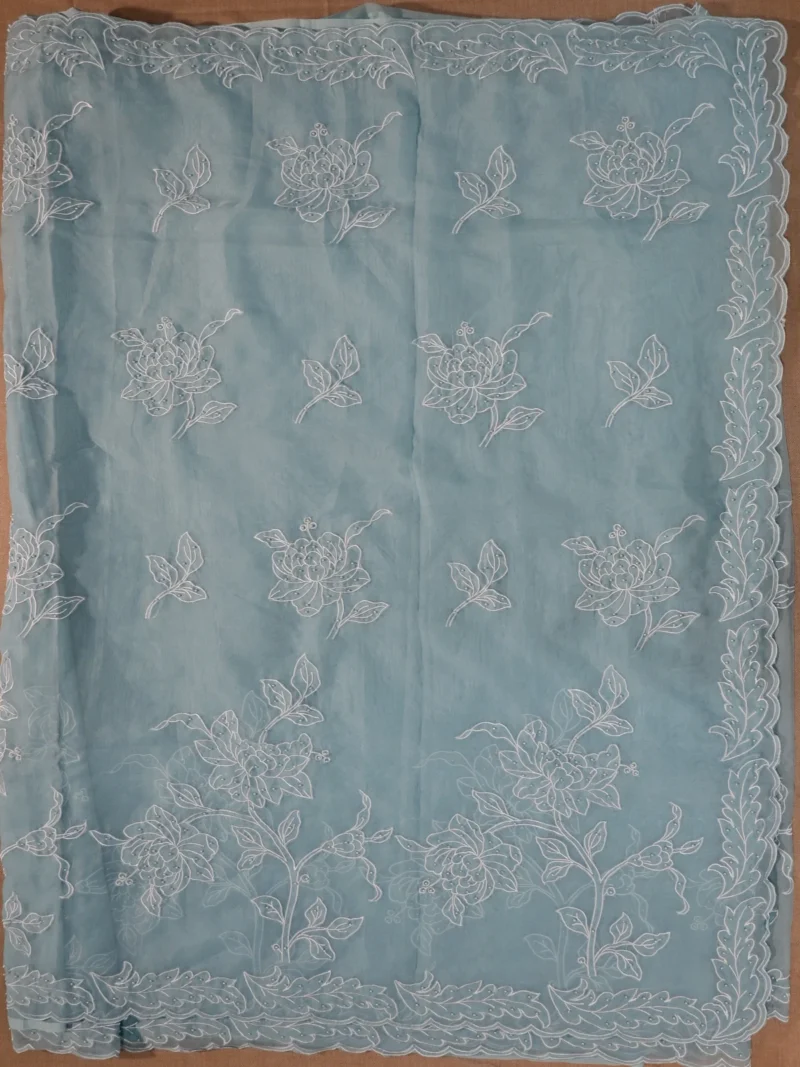 Pallu of light blue semi organza with pearls