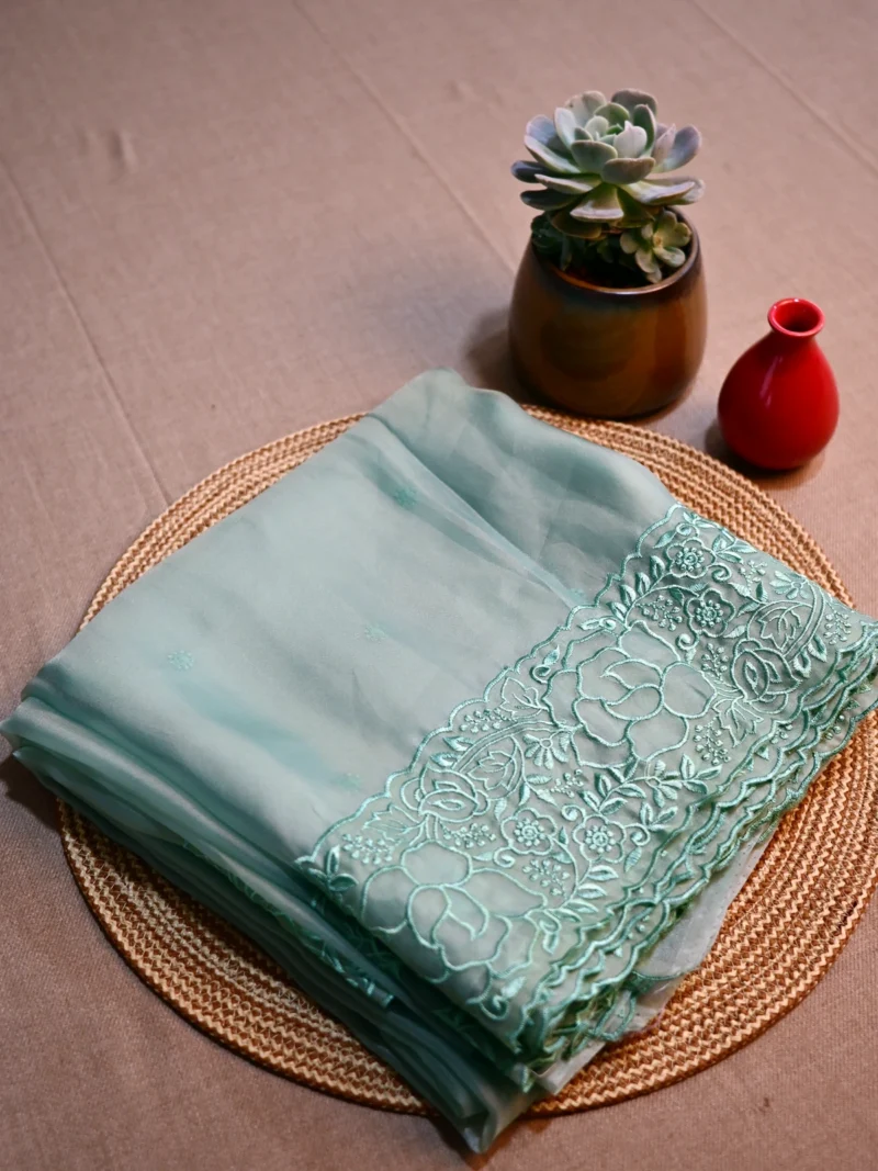 Light green soft Organza saree with embroidery along border and pallu.