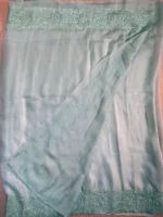 Blouse of light green soft Organza saree.