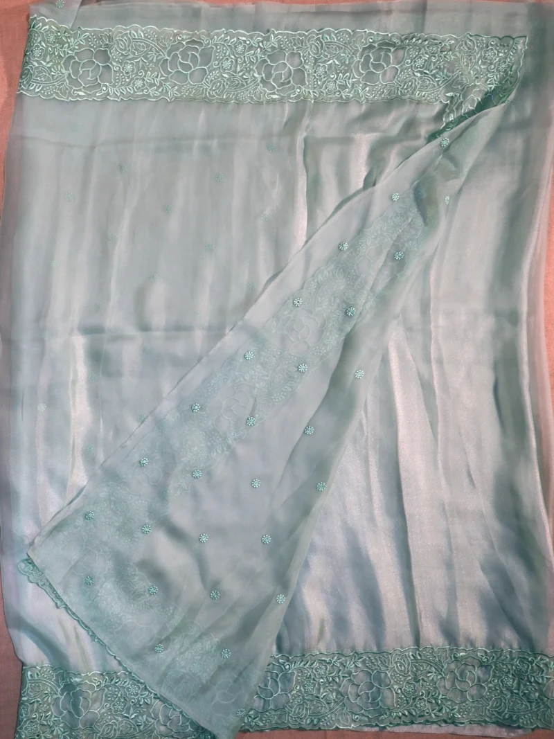 Blouse of light green soft Organza saree.