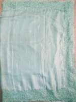 Pallu of light green soft Organza saree.
