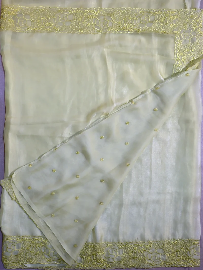 Blouse of light mehndi green soft Organza saree.