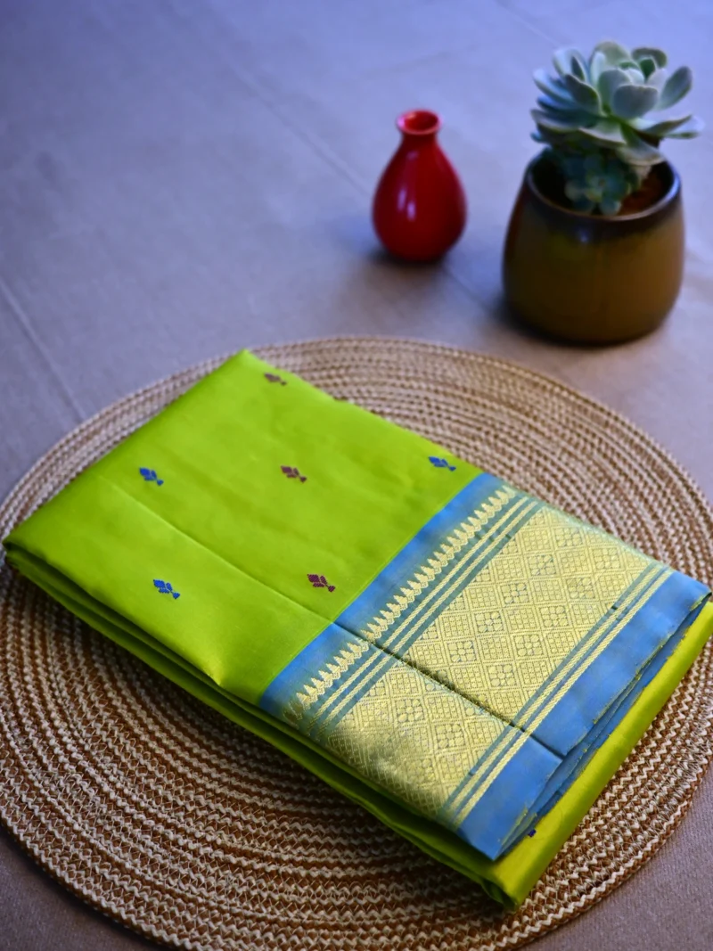 Light green-blue border-Kanchipuram pure silk-single border Light green Kahcnipuram pure silk saree